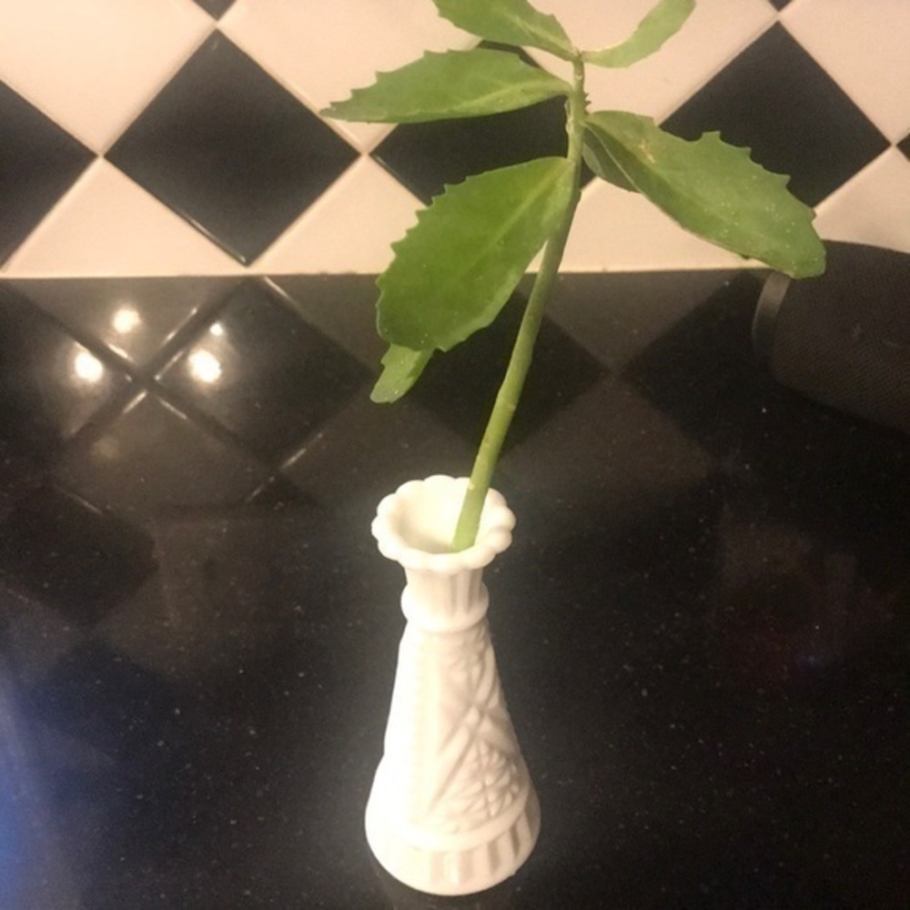 Milk glass bud vase